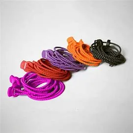 Elastic Shoe Laces